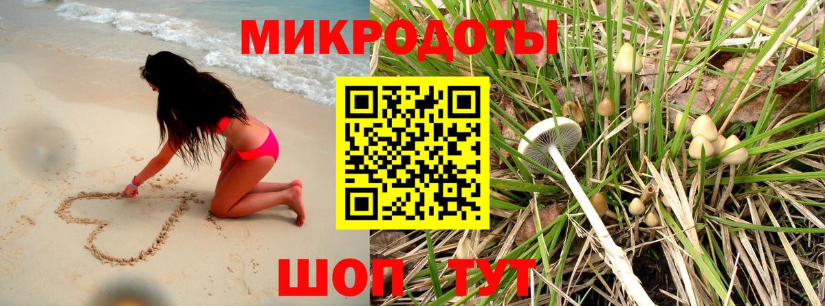 Полысаево  Галлюциногенные грибы Cubensis  Вход с VPN  Галлюциногенные грибы мицелий 